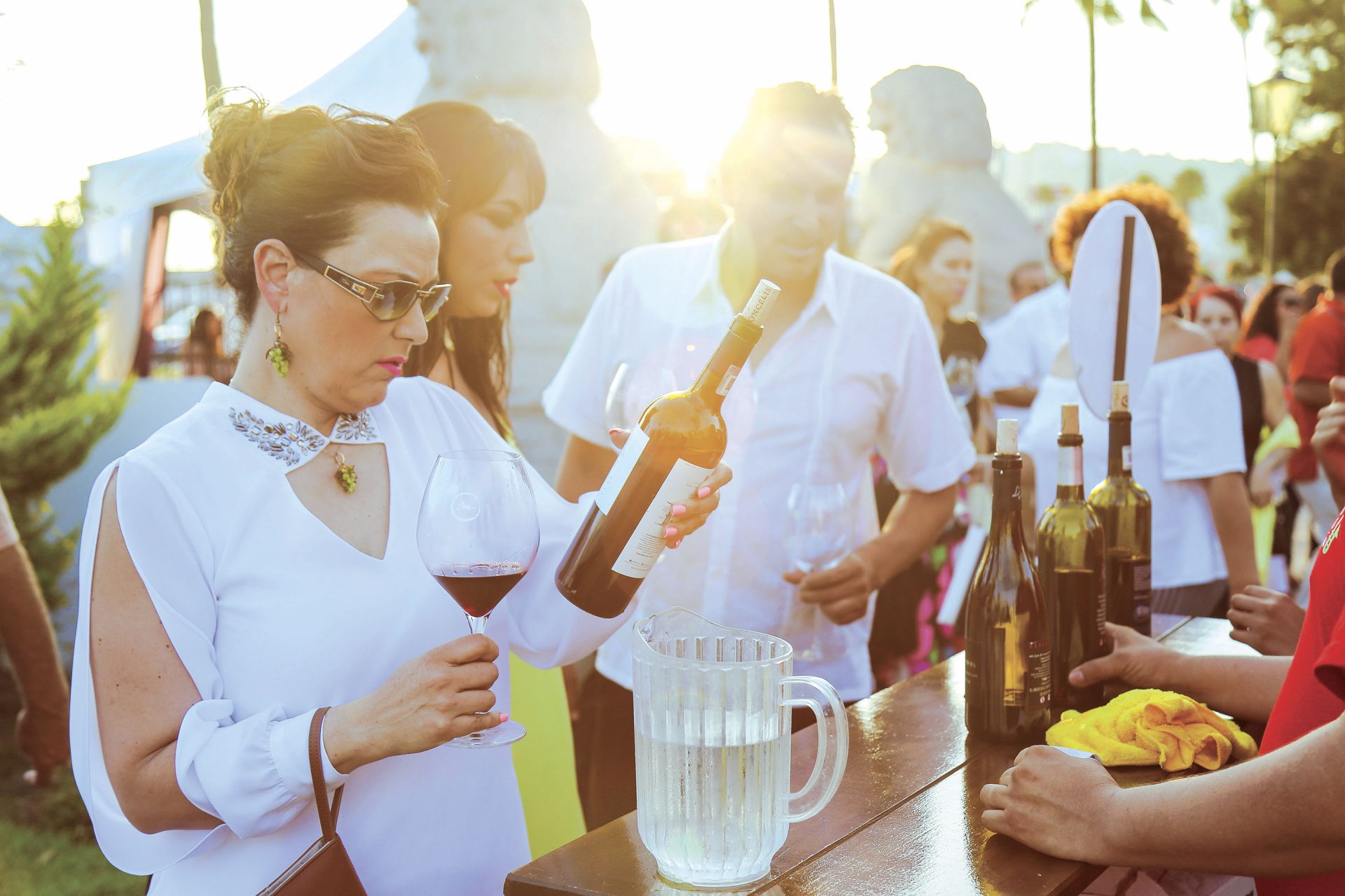 Fiestas de la Vendimia en Baja California: celebrar la cosecha