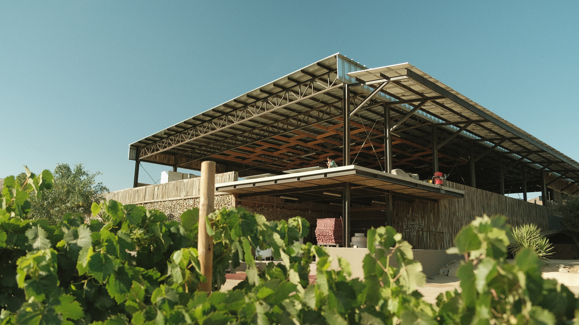 Tablas Taller Agrícola volver al origen en el Valle de Guadalupe