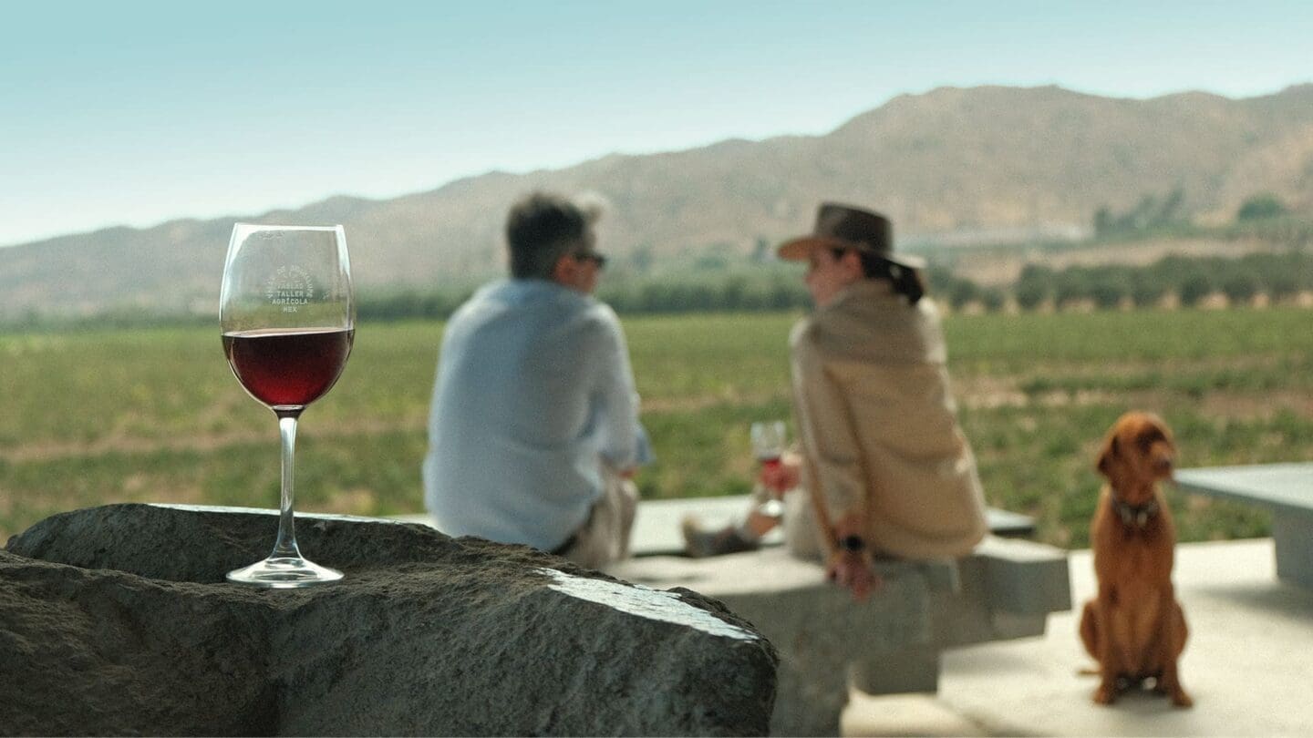 Tablas Taller Agrícola volver al origen en el Valle de Guadalupe